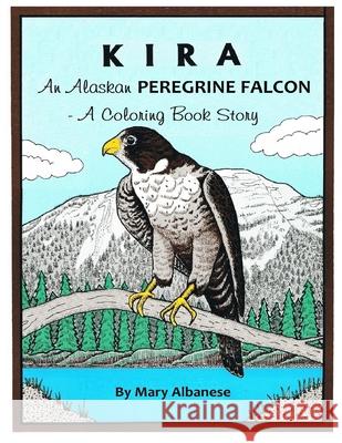 Kira, an Alaskan Peregrine Falcon: A Coloring Book Mary Albanese 9781736023426 Oxshott Press
