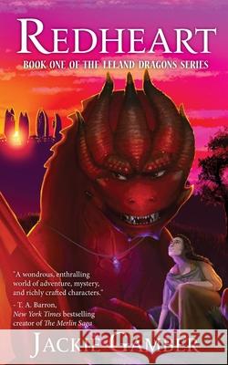 Redheart Jackie Gamber Ellen Gamber Ellen Gamber 9781736023815 Big Imagine