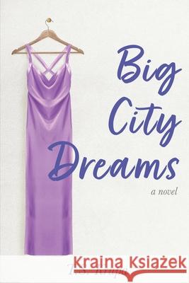 Big City Dreams T S Krupa 9781736258002 Avalon Haddam Press