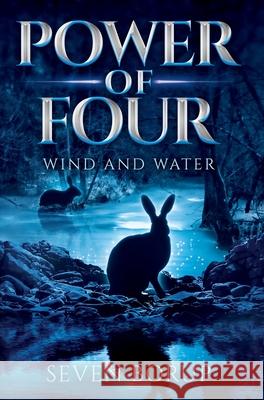 Power of Four, Book 2: Wind and Water Seven Borup 9781736304235