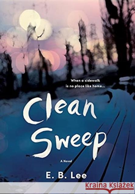 Clean Sweep E B Lee 9781736456026 Little Brown Dog Press