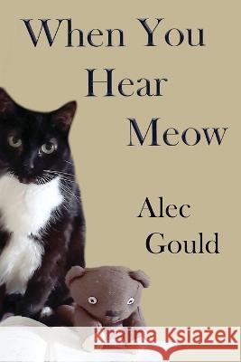 When You Hear Meow Alec Gould 9781736456422 Jumping Cat Publications