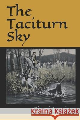 The Taciturn Sky Cinzi Lavin 9781736635001