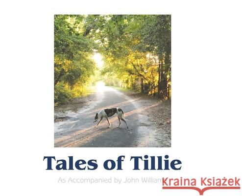 Tales of Tillie John Williams Anne Munson 9781736817506 Anne Munson