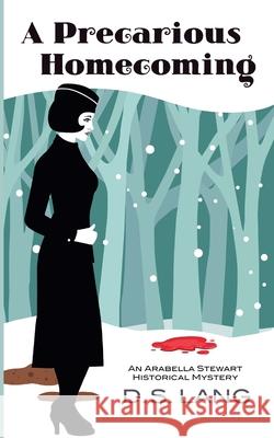 A Precarious Homecoming D S Lang   9781736838563 D.S. Lang