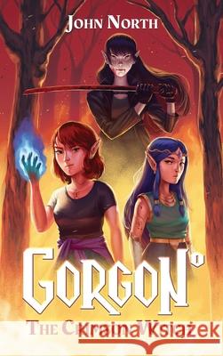 The Crimson Witch John North 9781736924907