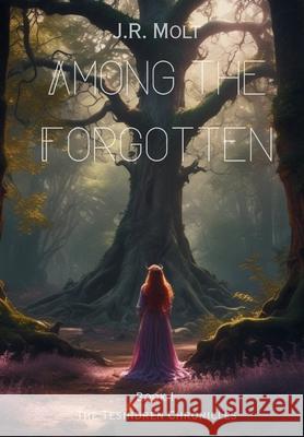 Among the Forgotten J. R. Molt 9781737058540 Rocking Chairs and Bookshelves