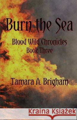 Burn the Sea Tamara A Brigham Tamara A Brigham  9781737186946