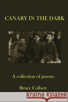 Canary in the Dark Bruce Colbert 9781737475804