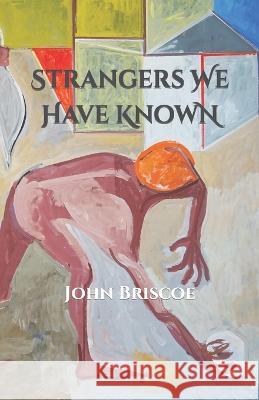 Strangers We Have Known John Briscoe 9781737494720 Fmsbw