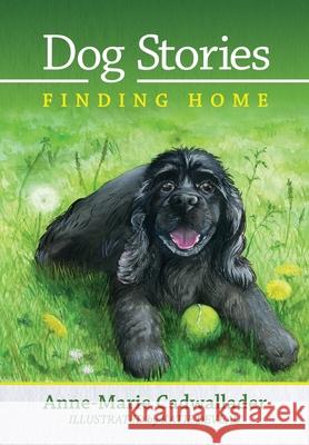 Dog Stories Finding Home Anne-Marie Cadwallader Katie Deveau 9781737497400 Anne-Marie Cadwallader