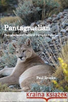 Pantagruelian: Photographs and Poems of Torres del Paine Brooke 9781737780878