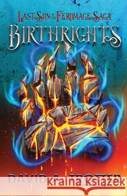 Birthrights: The Last Son of the Feromage Saga David A. Trotter Aaron Moschner 9781737865506