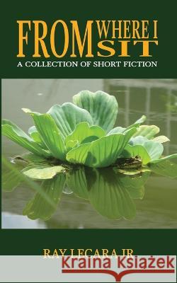 From Where I Sit: A Collection of Short Fiction Macaskill Wright Ray Lecara, Jr  9781737939443 Synerg Publishing