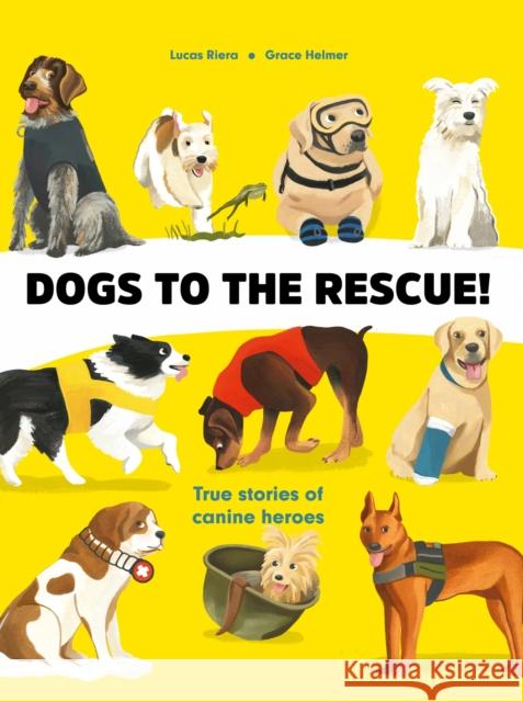 Dogs to the Rescue Lucas Riera 9781739099015