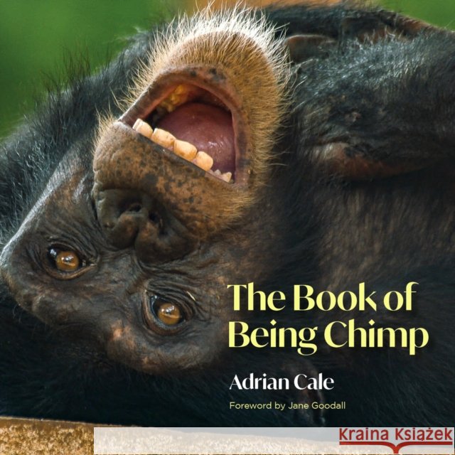 The Book of Being Chimp Adrian Cale 9781739220501 Pupfish Publishing