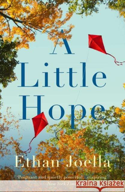 A Little Hope Ethan Joella 9781739638245