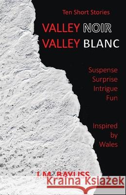 Valley Noir Valley Blanc: Ten Short Stories Jonathan Mark Bayliss 9781739724511 J M Bayliss