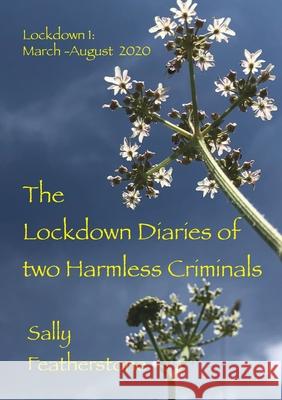 Lockdown Diary Sally Featherstone 9781739745509