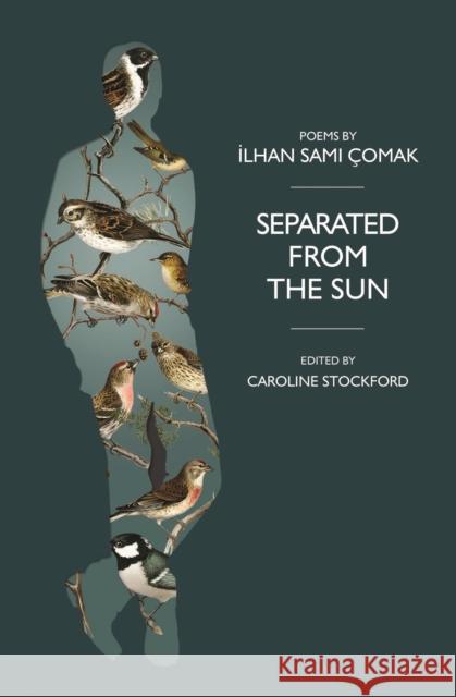 Separated from the Sun Ilhan Comak 9781739772239