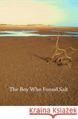 The Boy Who Found Salt S. Pitt   9781739795108 Firsthale