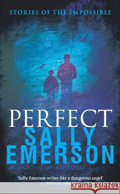 Perfect, Stories of the Impossible Sally Emerson 9781739864507