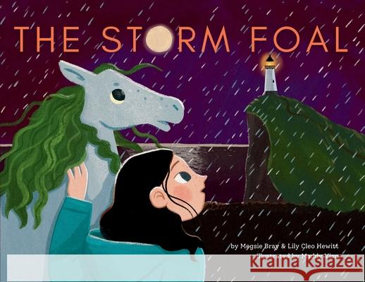 The Storm Foal Megsie Bray Lily Cleo Hewitt Maddy Vian 9781739944230