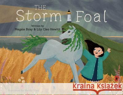 The Storm Foal Megsie Bray Lily Cleo Hewitt Maddy Vian 9781739944292 Meadow Song Books