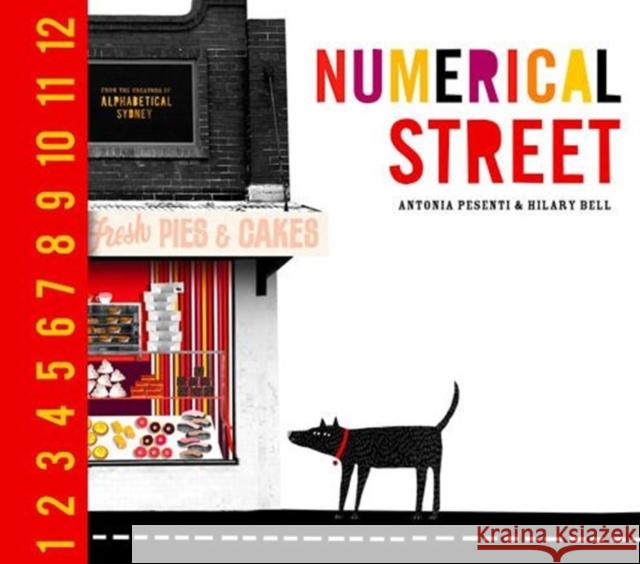 Numerical Street Hilary Bell Antonia Pesenti 9781742232287 University of New South Wales Press