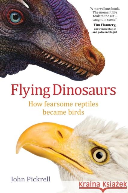 Flying Dinosaurs: How fearsome reptiles became birds John Pickrell 9781742233666 Eurospan