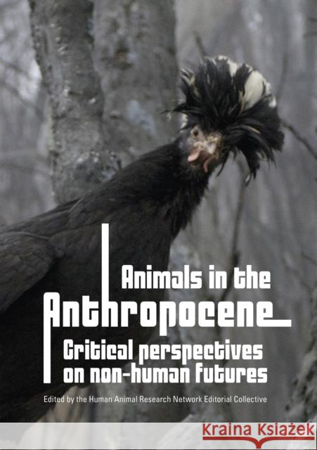 Animals in the Anthropocene : critical perspectives on non-human futures  9781743324394 