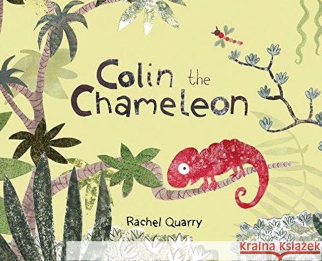 Colin the Chameleon Rachel Quarry 9781760360474 Starfish Bay Publishing Pty Ltd