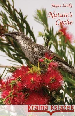 Nature's Cache Jayne Linke 9781760418779 Ginninderra Press