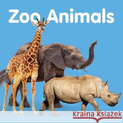Zoo Animals New Holland Publishers 9781760795337 New Holland Publishers
