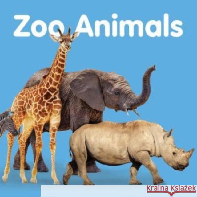 Zoo Animals: Board book New Holland Publishers 9781760795337