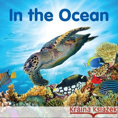 In the Ocean New Holland Publishers 9781760795344