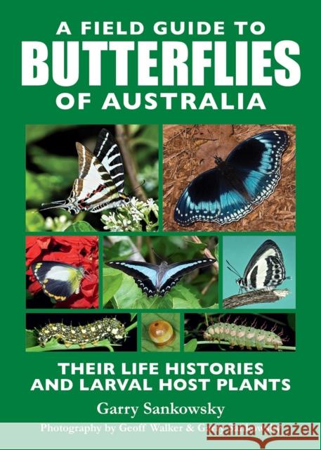 A Field Guide to Butterflies of Australia: Their Life Histories and Larval Host Plants Geoff Walker 9781760796884 New Holland Publishers