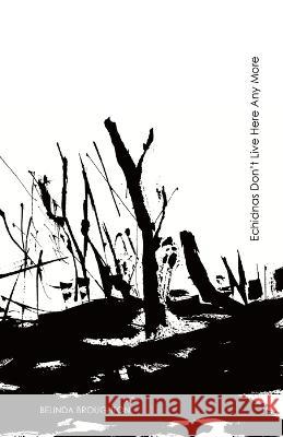 Echidnas Don't Live Here Any More: Poems of loss and recovery since the Black Summer bushfires Belinda Broughton   9781761093449 Ginninderra Press