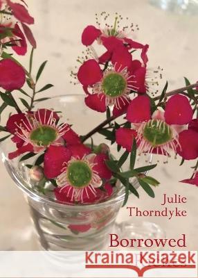 Borrowed Riches Julie Thorndyke 9781761094149 Ginninderra Press