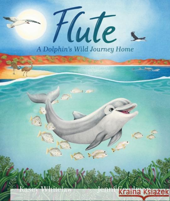 Flute: A Dolphin's Wild Journey Home Kasey Whitelaw 9781761112294 Wombat Books