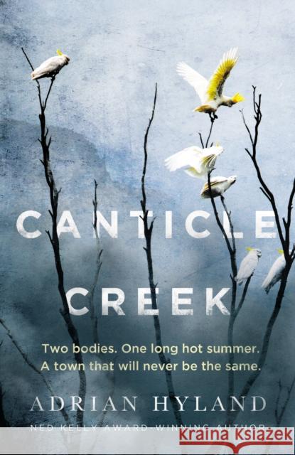 Canticle Creek Adrian Hyland 9781761151163