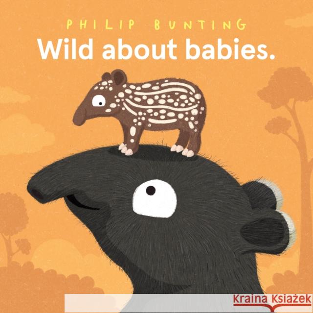 Wild About Babies Philip Bunting 9781761211775 Hardie Grant Children's Publishing