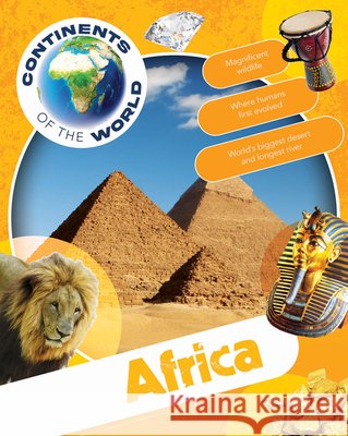 Africa John Lesley 9781761400940