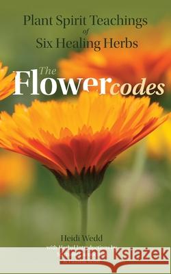 Plant Spirit Teachings of Six Healing Herbs Heidi Wedd Pamela Scott Michelle Carnochan 9781763542426 Flower Spring