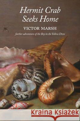 Hermit Crab Seeks Home Victor Marsh 9781763735668 Rainshadow Books