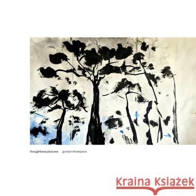 Thoughtless Pictures Gordon Thompson 9781763735682 Rainshadow Books