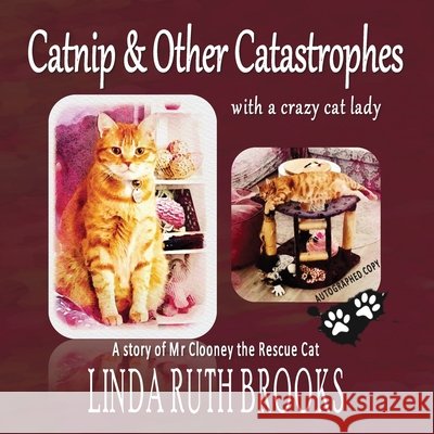Catnip and Other Catastrophes Brooks, Linda Ruth 9781764492188