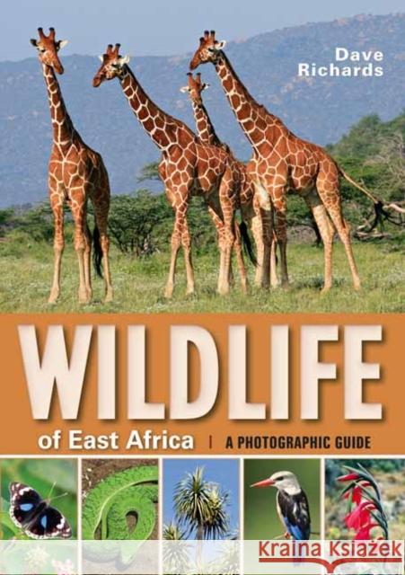 Wildlife of East Africa: A Photographic Guide Dave Richards 9781770078918 Struik Lifestyle