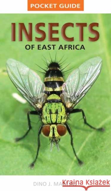 Pocket Guide Insects of East Africa Dino J. Martins 9781770078949 Penguin Random House South Africa