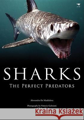 Sharks: The Perfect Predator Alessandro D 9781770095595 Jacana Media